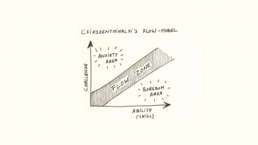 The Flow Model