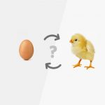 telur dan ayam